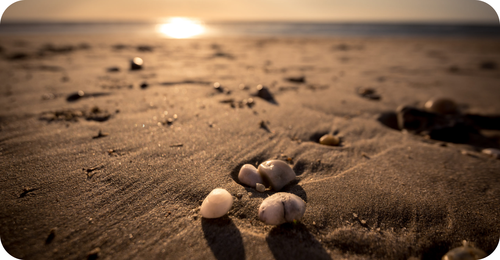 Elo. photographe